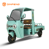 Xe ba bánh chạy điện chở hàng P9